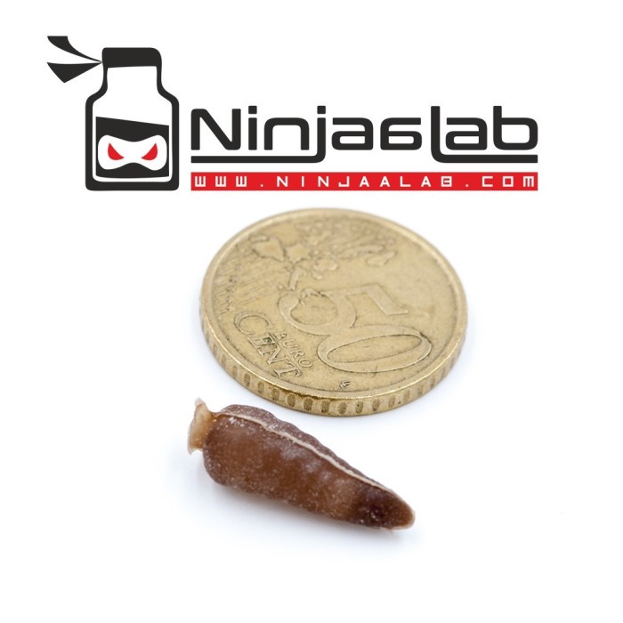 Ninjaalab Cicada Air Bodies