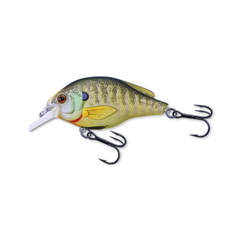 Livetarget Sunfish Squarebill Crankbait