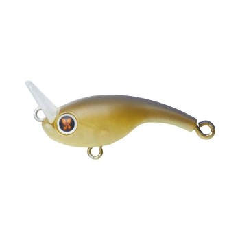 Daiwa Presso Rivecra