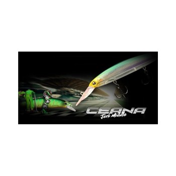 Major Craft Ceana Jerkbait Middle 2