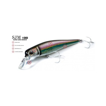 Molix Super Jerk Minnow 100