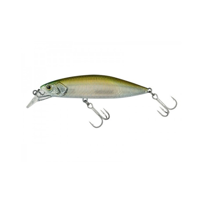 Molix Rolling Minnow FS