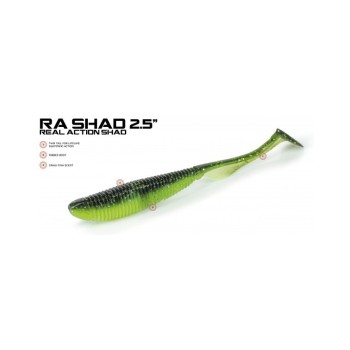 Molix RA Shad 2