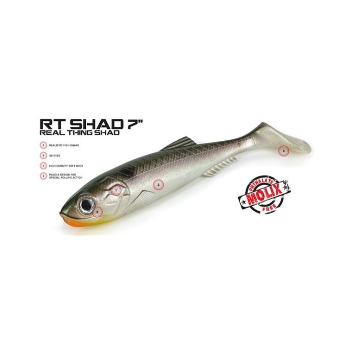 Molix RT Shad 7"
