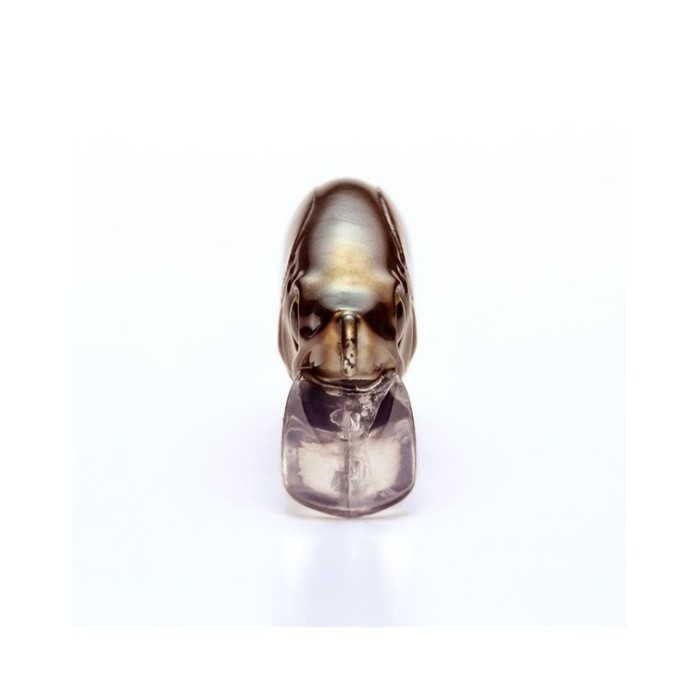 Shimano Cardiff Refrain 50HS