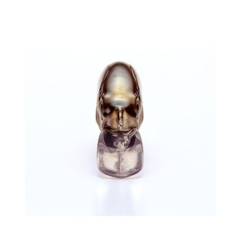 Shimano Cardiff Refrain 50HS