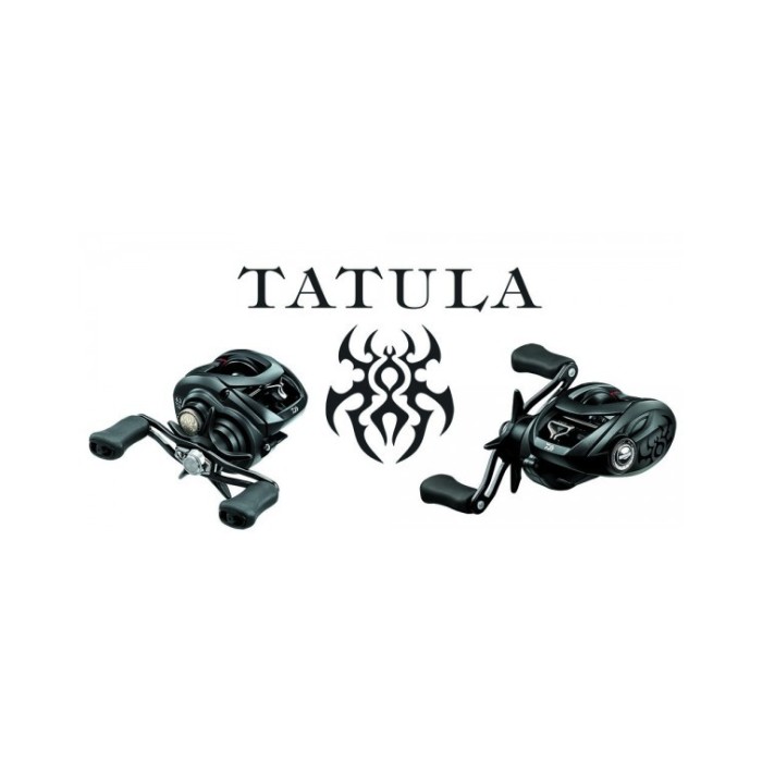 Mulinello Casting Daiwa Tatula 100