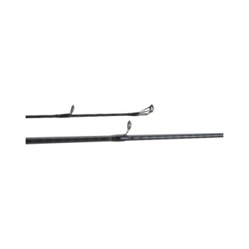 Canna Spinning Daiwa Rebellion 2