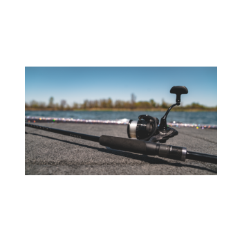 Canna Spinning Daiwa Tatula XT