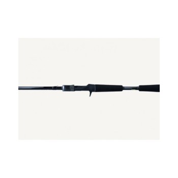 Canna Daiwa Casting Tatula XT 2