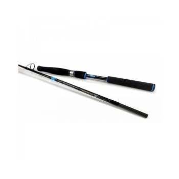 Canna Spinning Favorite X1 SW Speciale Italia