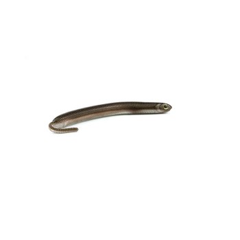 Fish Arrow Airbag Bug Minnow 2
