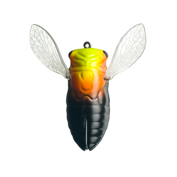 Fish Arrow Cover Cicada Big 2