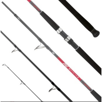 Daiwa Ninja Catfish - Canna Spinning