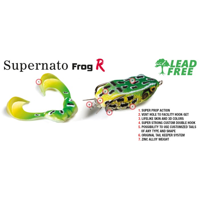 Molix Supernato Frog R - Rana