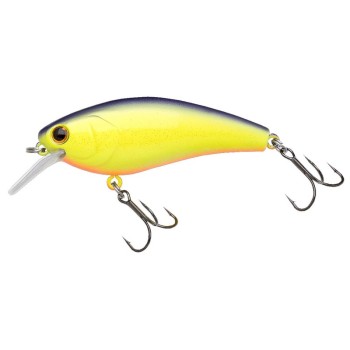 Nories Complete Square 70 | Crankbait Square Bill