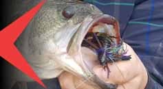 Jig e chatterbait Bass Fishing