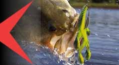 Gamberi e Creature Bass Fishing