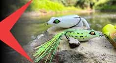 Rane e Esche Top Water Bass Fishing