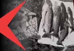Non è moda, è rispetto: il Manifesto del Catch & Release